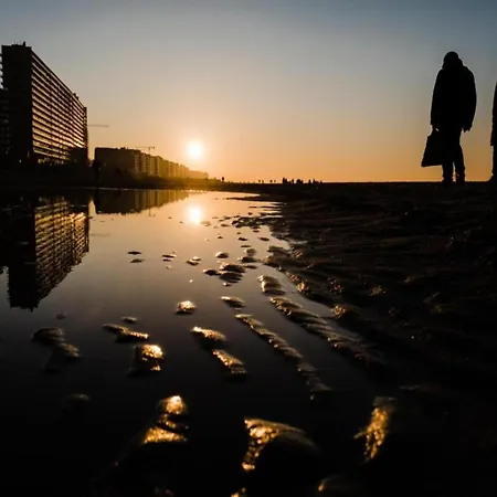 In With Sea Views * Oostende